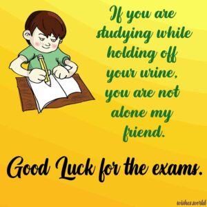 100+ Funny Good Luck Messages For Exams - Wishes