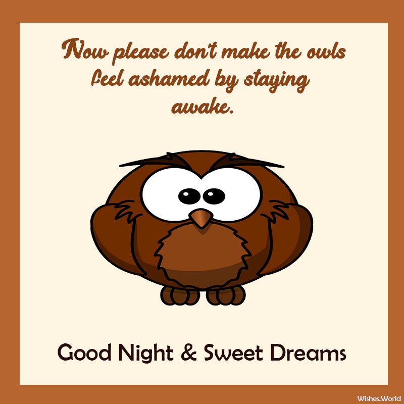 Hilarious-Creative-Ways-Good-Night-Messages-Owl-Funny