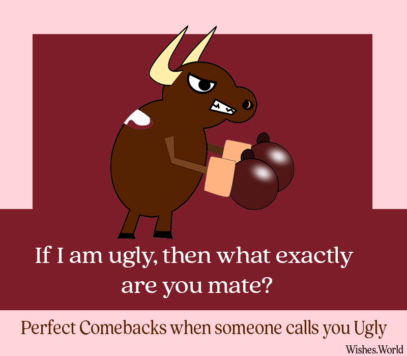 Perfect-Comebacks-when-called-ugly